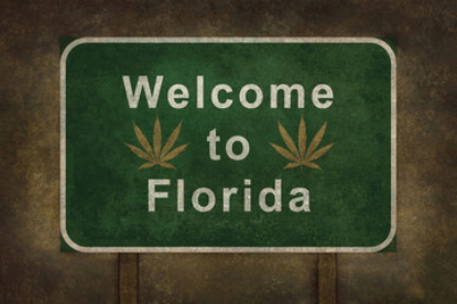 Florida medical cannabis